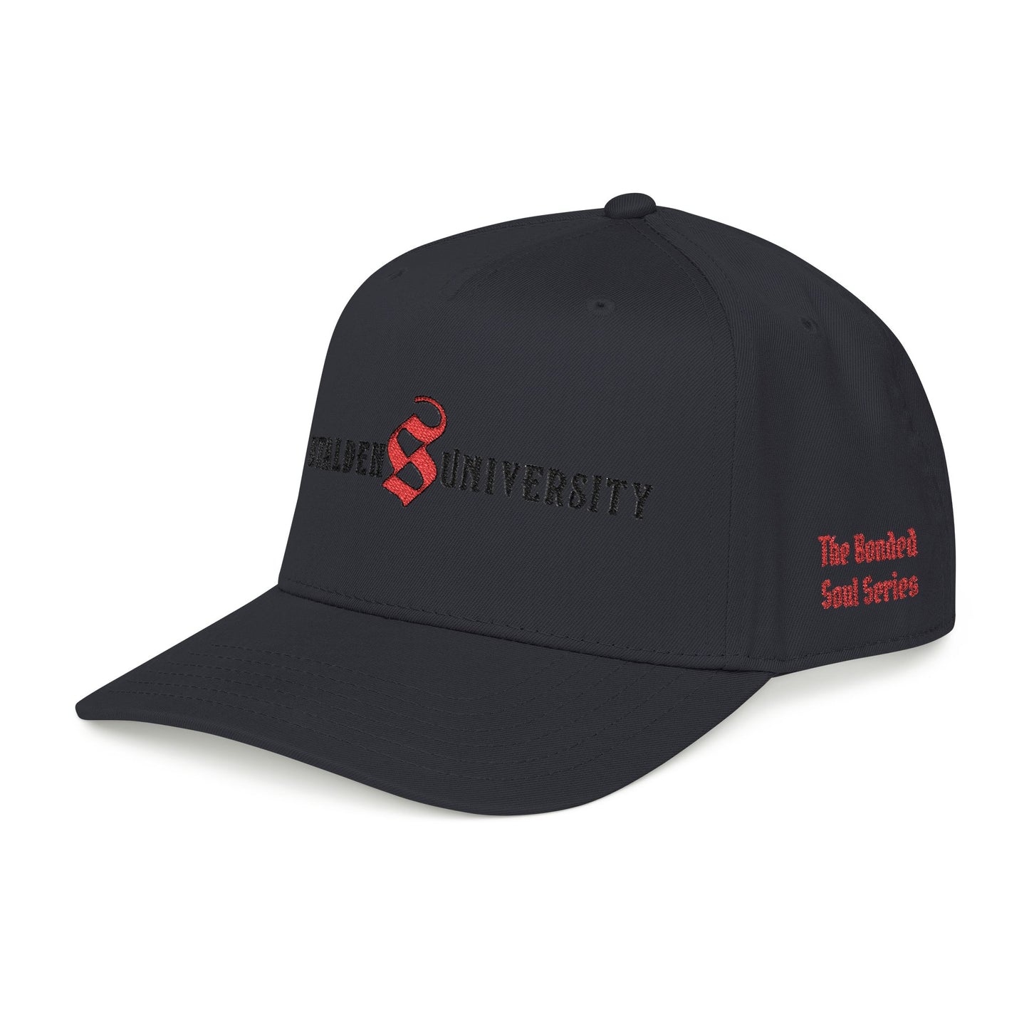 Stalden University Baseball Cap - The Bonded Souls Series - S.J. Tilly