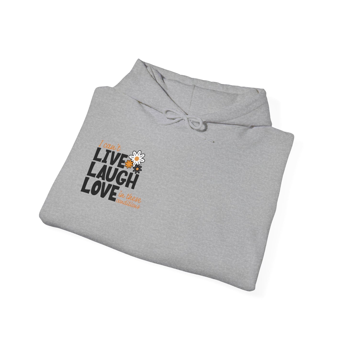 I Can't Live Laugh Love In These Conditions Hoodie