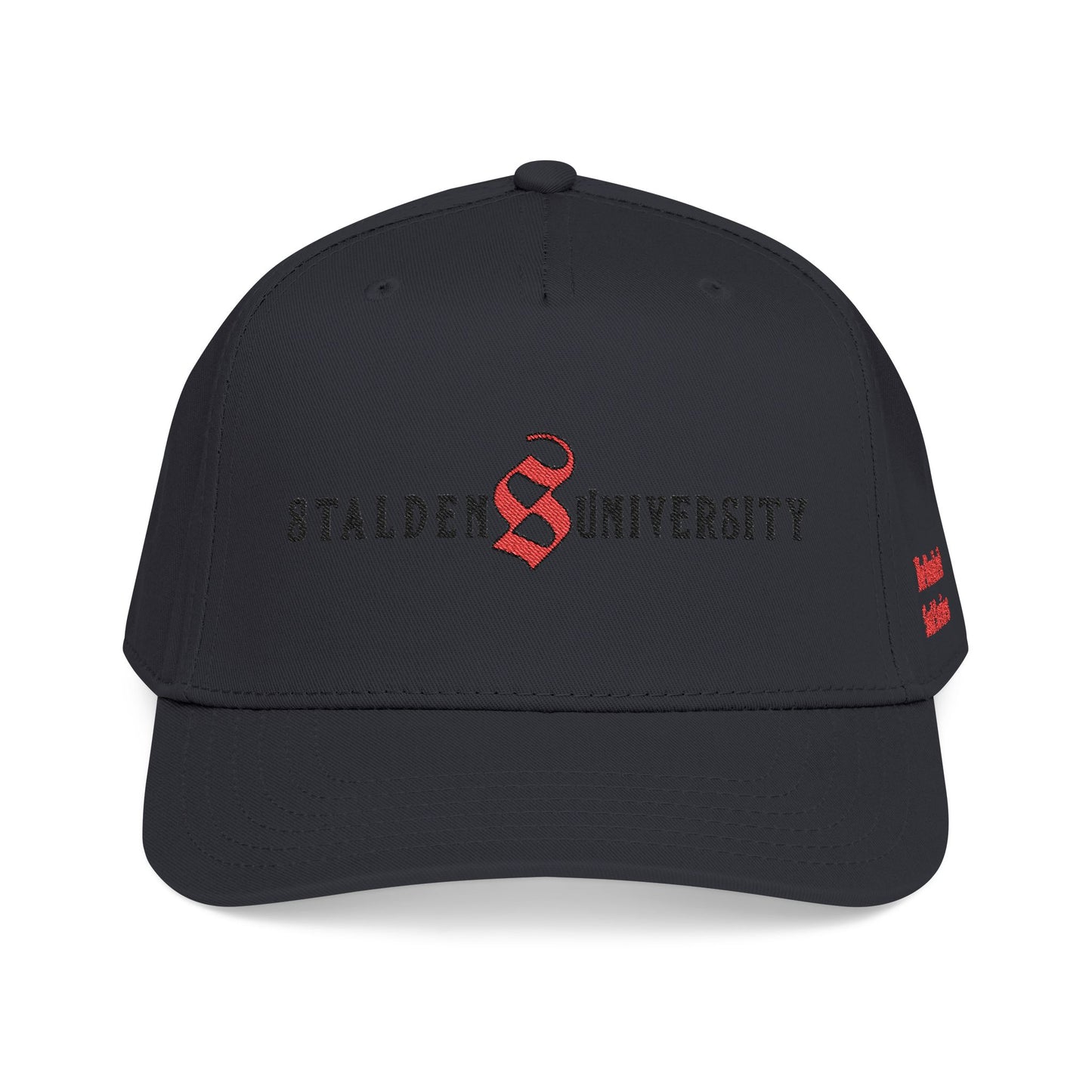Stalden University Baseball Cap - The Bonded Souls Series - S.J. Tilly